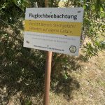 Süßer Honig, Bunte Pfefferkuchen